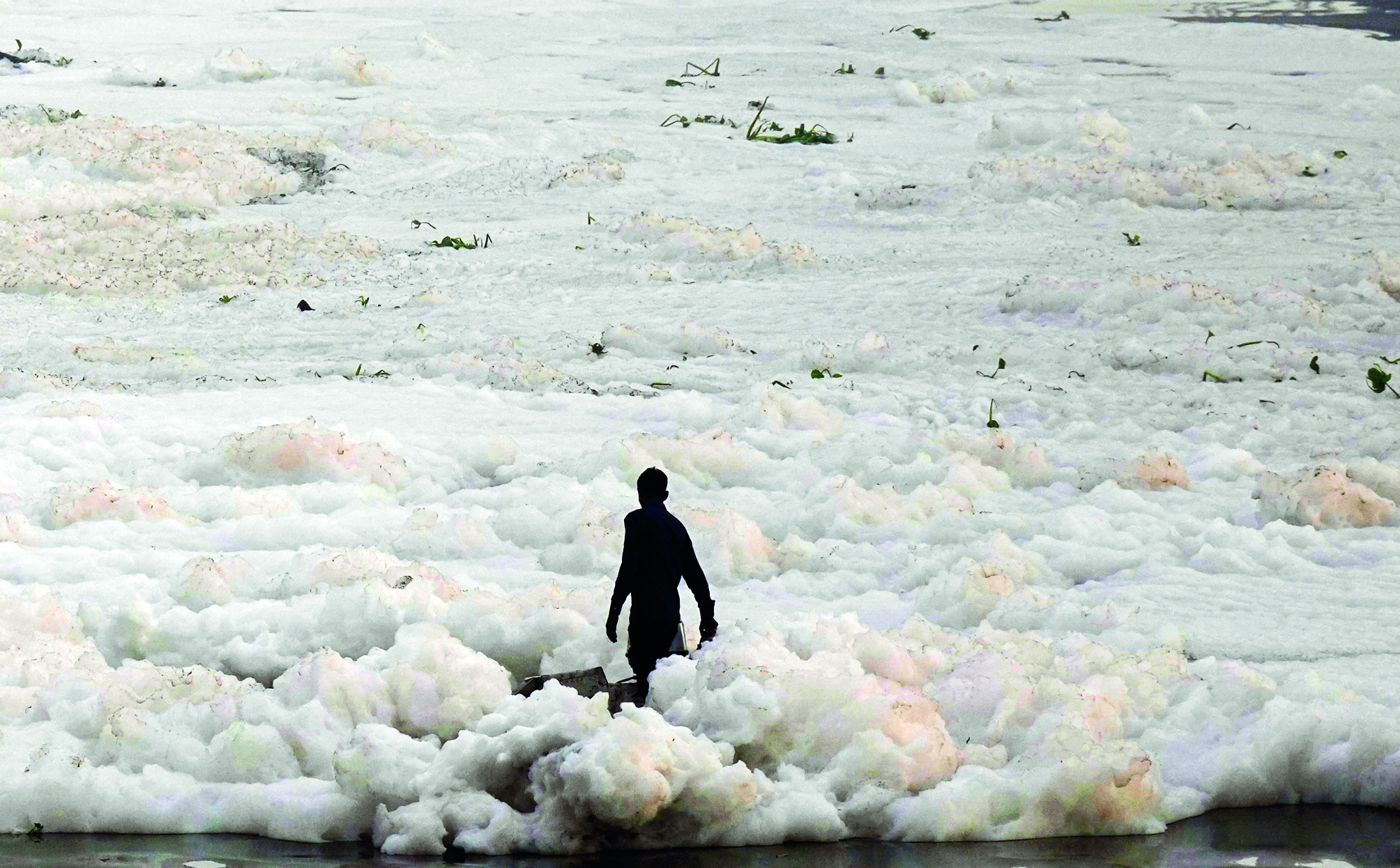 HC criticises Delhi govt for Yamuna pollution, drain desilting negligence