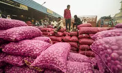 Onion prices likely to cool down further with arrival of new kharif crop: Govt official