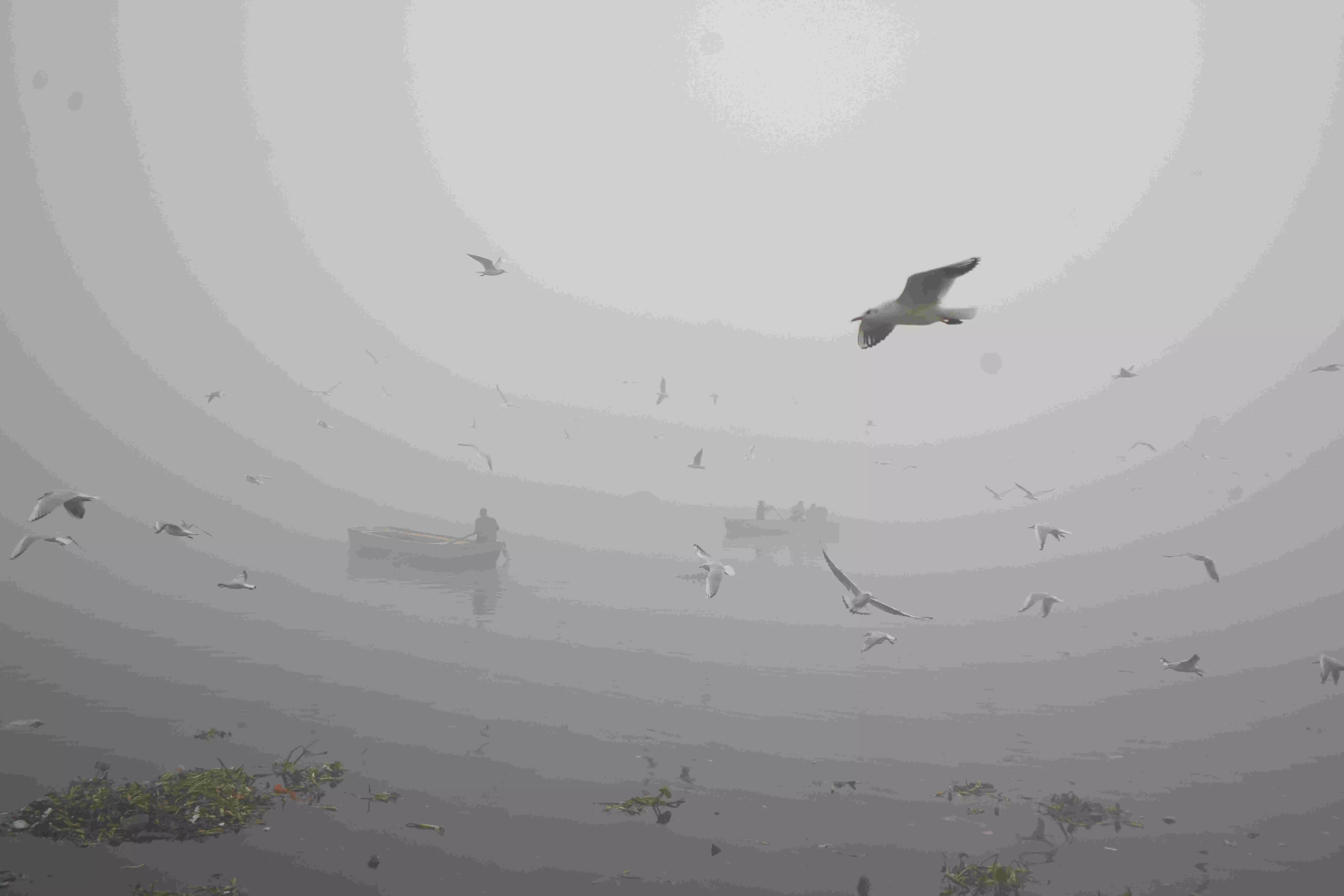 Delhi sees dense fog, lowest minimum temperature of season; air quality severe Delhi sees dense fog, lowest minimum temperature of season; air quality severe