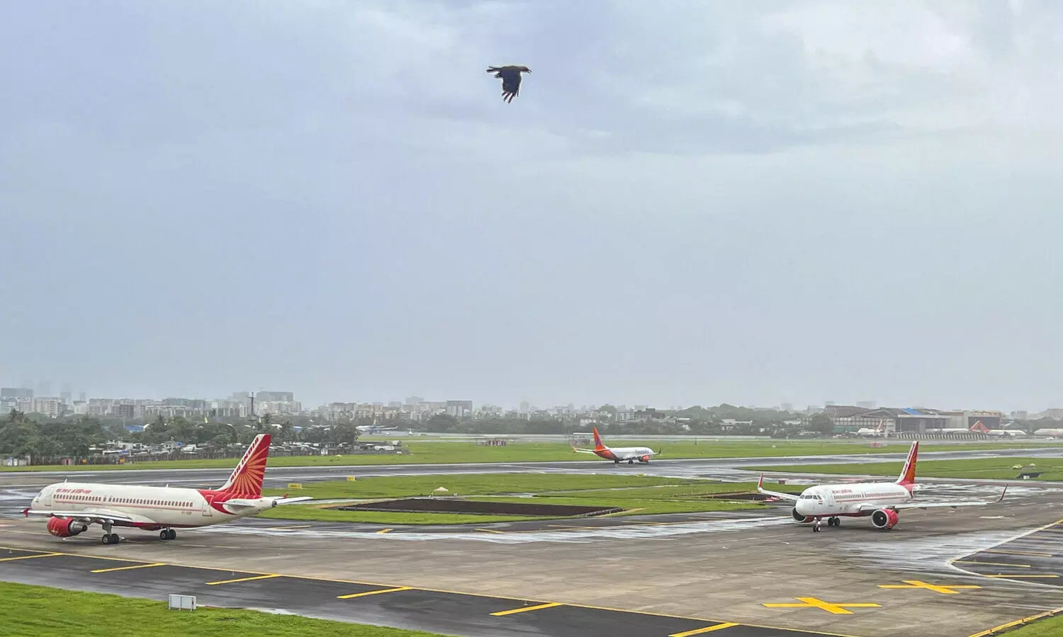 Mumbai Airports total passenger traffic rises 4% in Oct