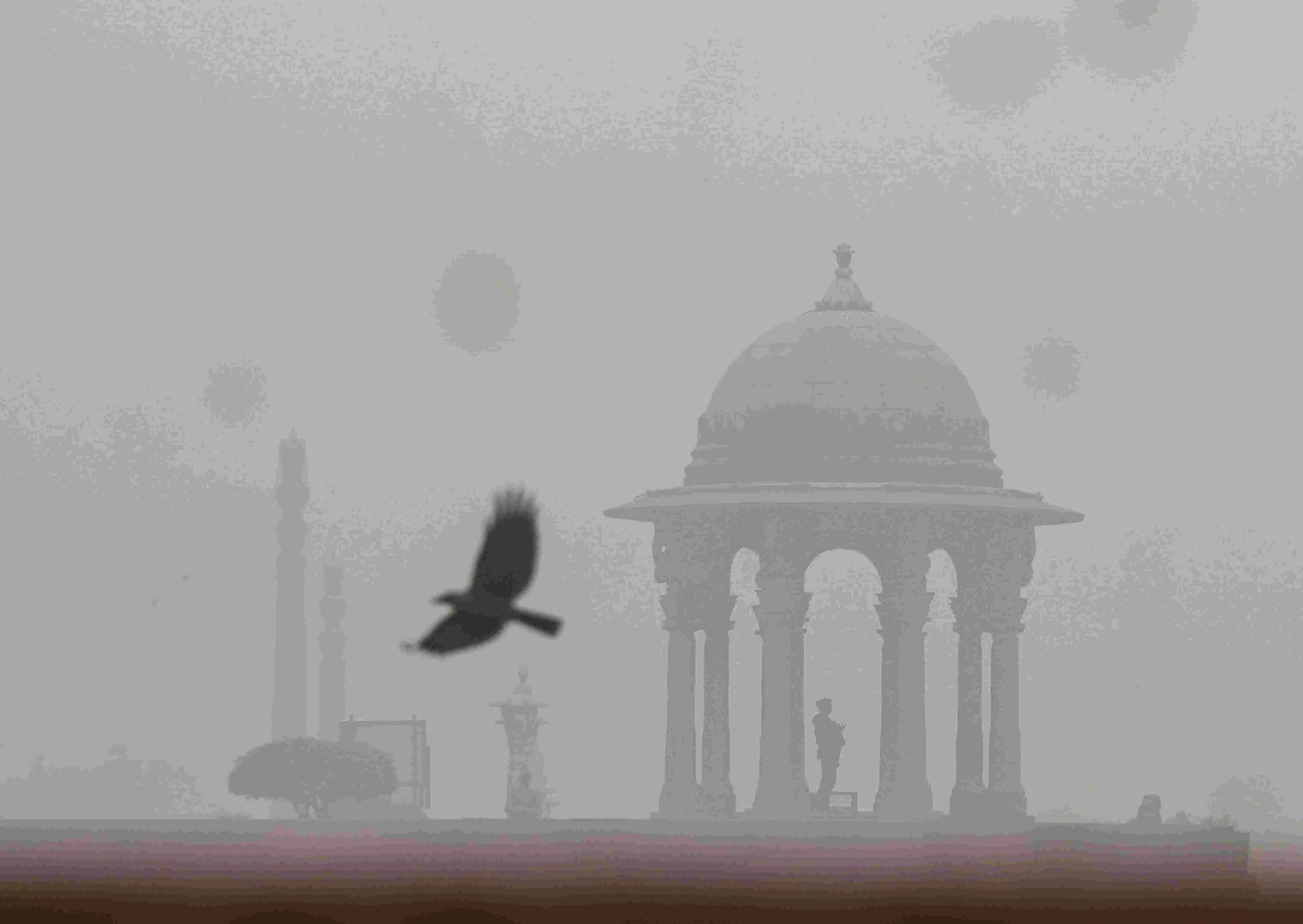 GRAP-III restrictions in Delhi as air quality remains severe for third consecutive day GRAP-III restrictions in Delhi as air quality remains severe for third consecutive day