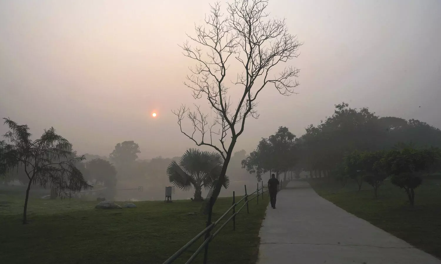 Shrouded in thick smog, Delhi gasps for air