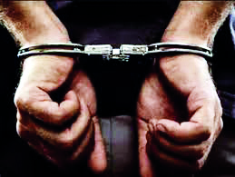 Within days of Kasba shooting incident, cops seize 49 guns; 43 held Within days of Kasba shooting incident, cops seize 49 guns; 43 held