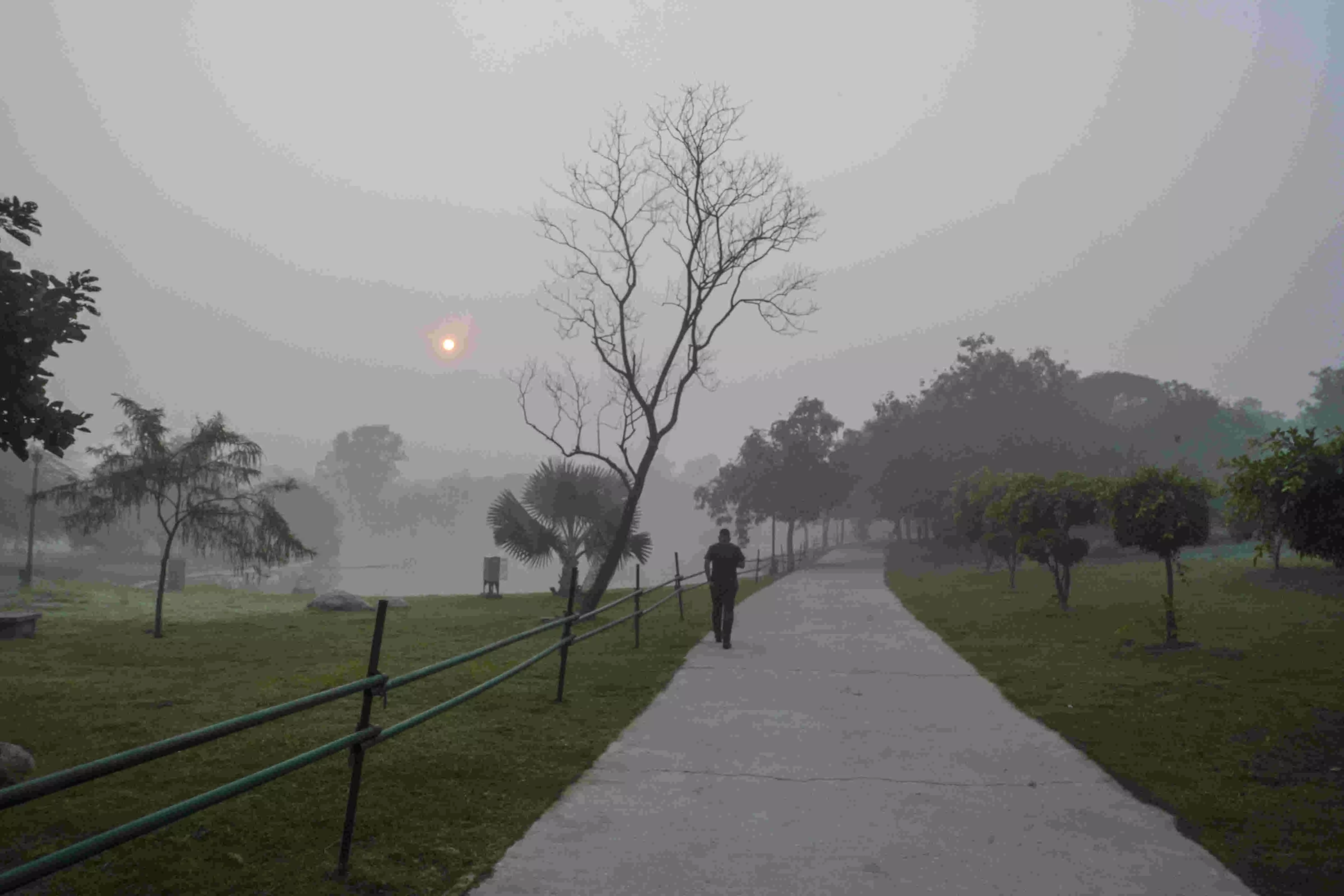 After seasons coldest night, Delhi wakes up to another day with toxic air After seasons coldest night, Delhi wakes up to another day with toxic air