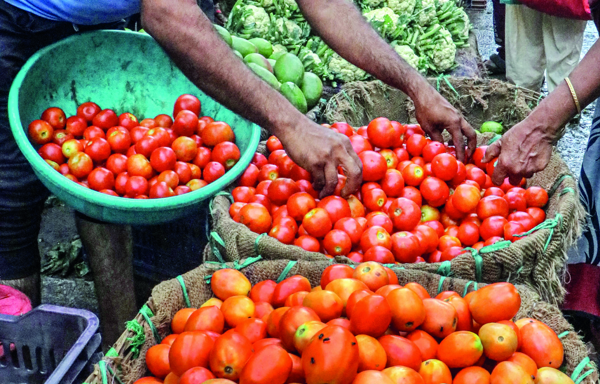 Govt gives fund to 28 innovators to address sharp volatility in retail prices of tomato