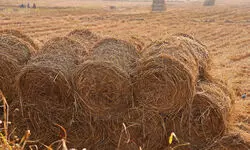 Earning in place of burning