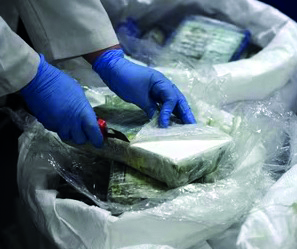 India sees alarming surge in NDPS cases, drug seizures India sees alarming surge in NDPS cases, drug seizures