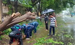 Cyclone Fengal remains stationary near Pondy, to weaken in next 3 hrs: IMD