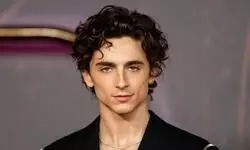 Timothee Chalamet says he failed auditions for action movies Maze Runner and Divergent