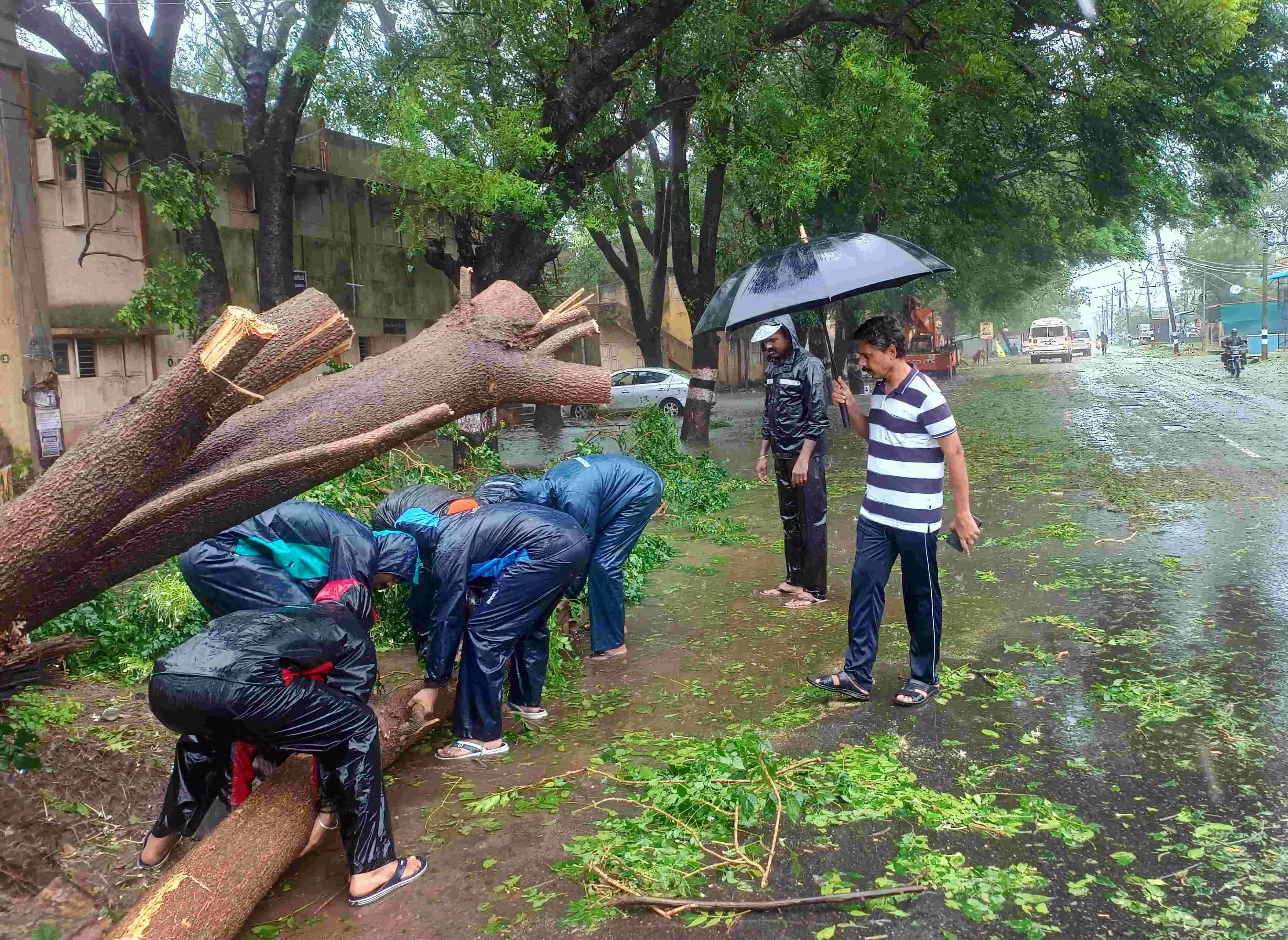Cyclone Fengal remains stationary near Pondy, to weaken in next 3 hrs: IMD