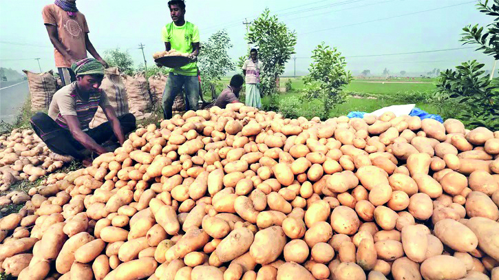 State Agriculture minister raids border checkposts to probe potato export claims