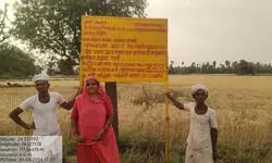 Nexus of Good: Boosting incomes