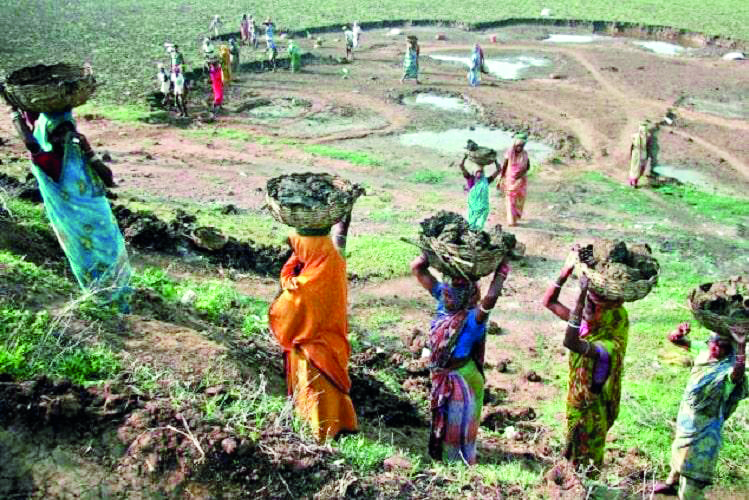 Over 8L MGNREGA job card holders employed under ‘Karmashree’ proj Over 8L MGNREGA job card holders employed under ‘Karmashree’ proj