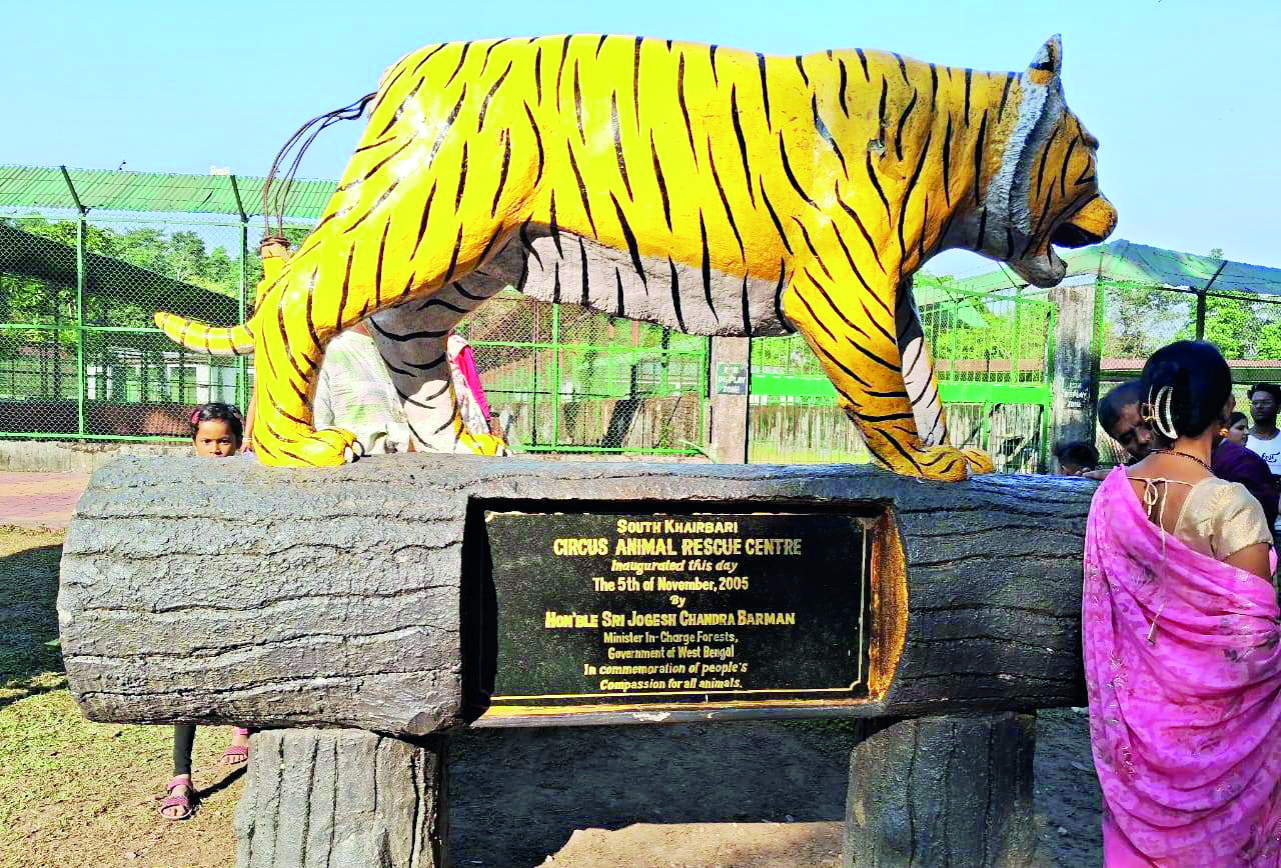 Special beds, blowers & curtains for leopards to beat winter chill