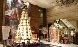 Crowne Plaza Mayur Vihar unveils ‘Charkha: The Tree of Tomorrow’