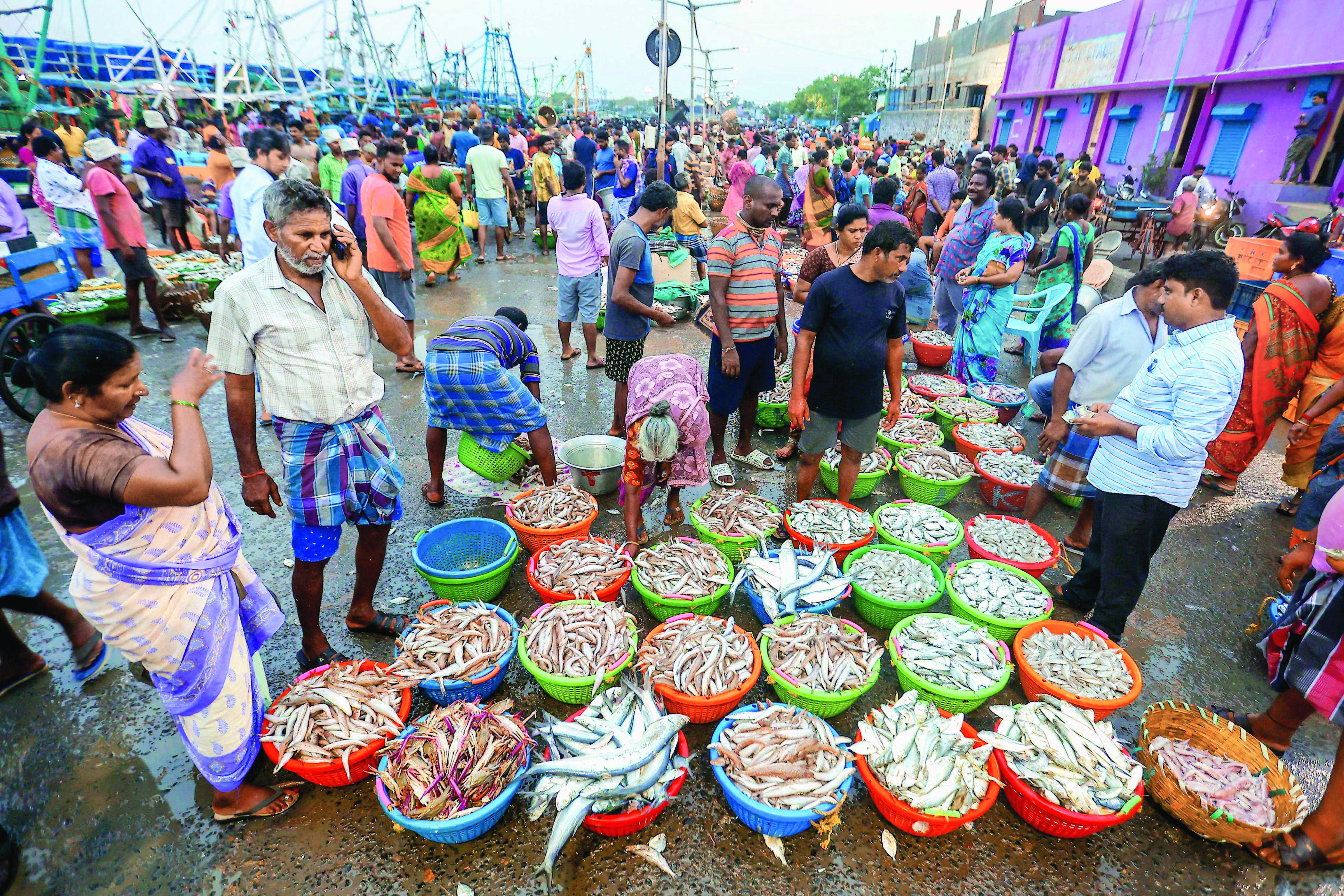 High seas fishing: India pitches for strong subsidy rules at WTO High seas fishing: India pitches for strong subsidy rules at WTO