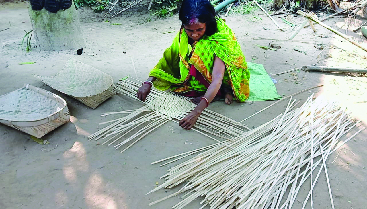 ‘Bamboo Mission’ proj to include Bengal for economic dev ‘Bamboo Mission’ proj to include Bengal for economic dev