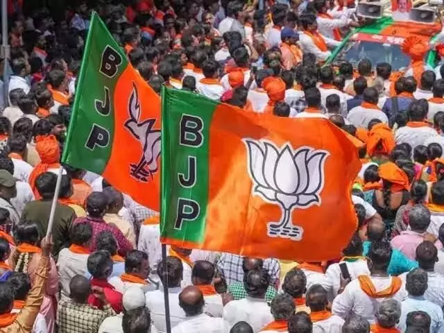 BJP likely to get new president in February