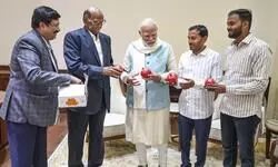 Sharad Pawar meets PM Modi, gifts him pomegranates from Maharashtra