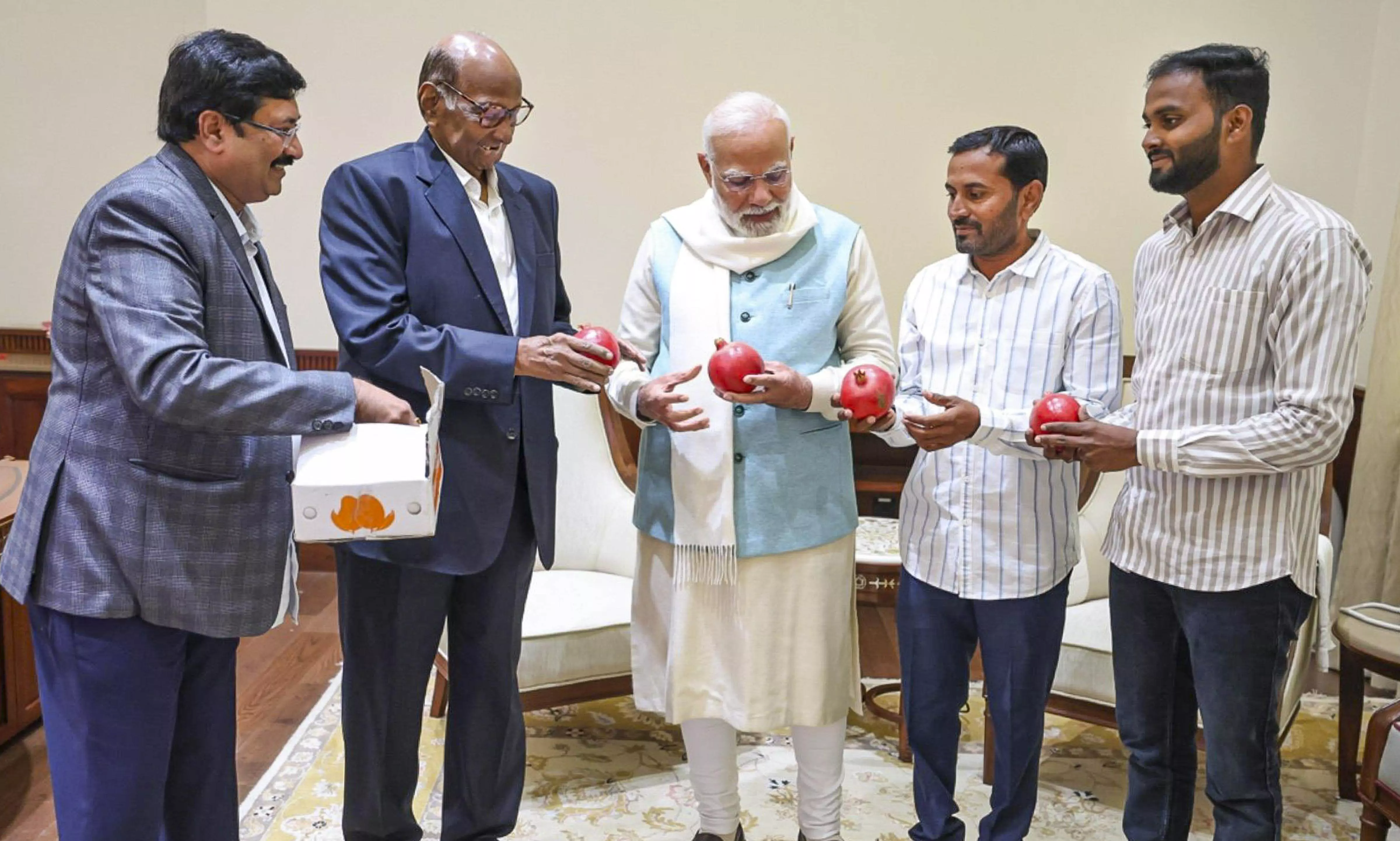 Sharad Pawar meets PM Modi, gifts him pomegranates from Maharashtra