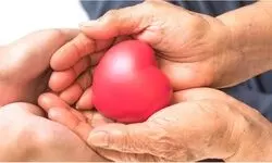 Health insurance in the age of inflation: How to get the coverage you need without breaking the bank