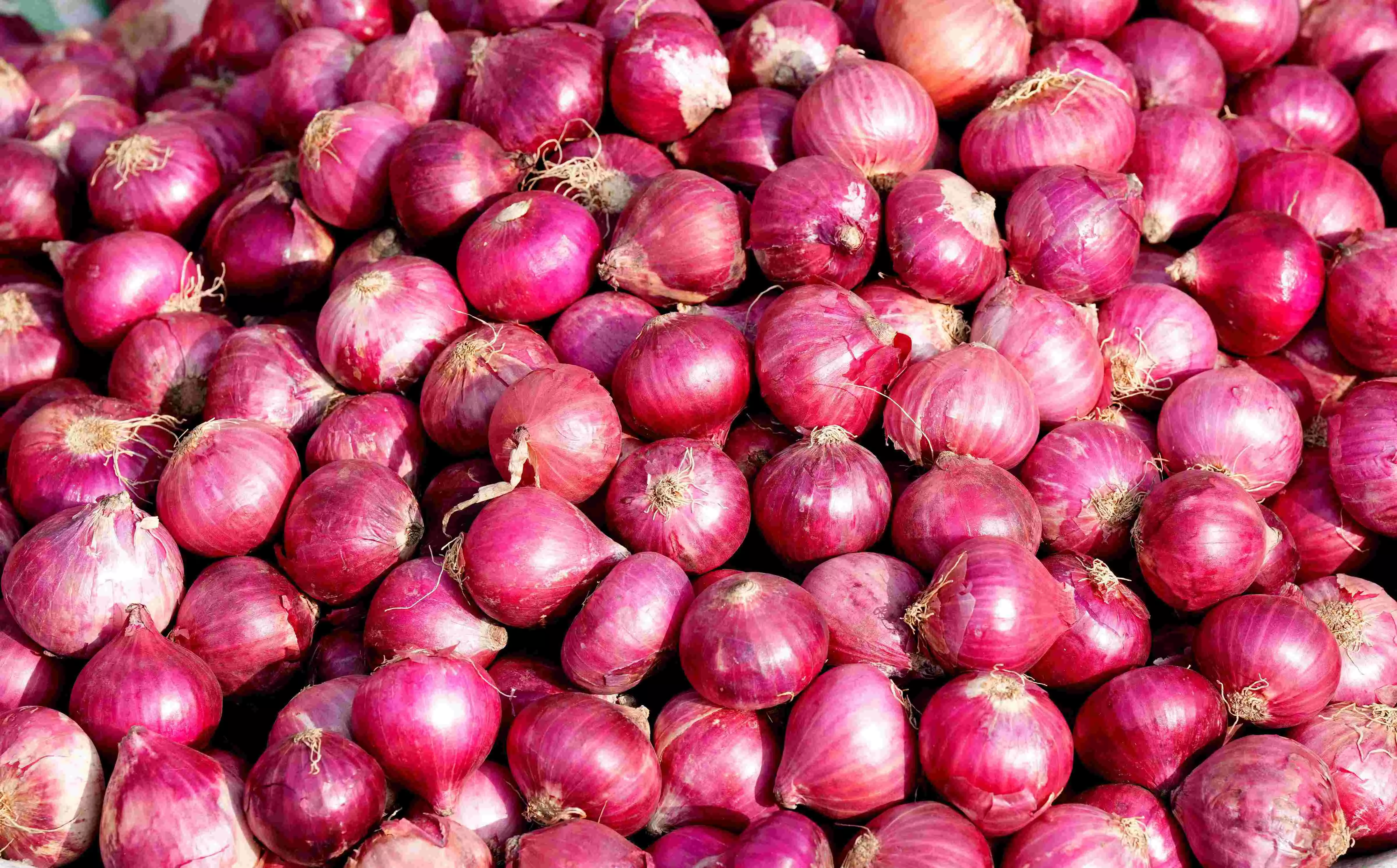Remove 20% export duty on onions: Ajit Pawar to Centre Remove 20% export duty on onions: Ajit Pawar to Centre