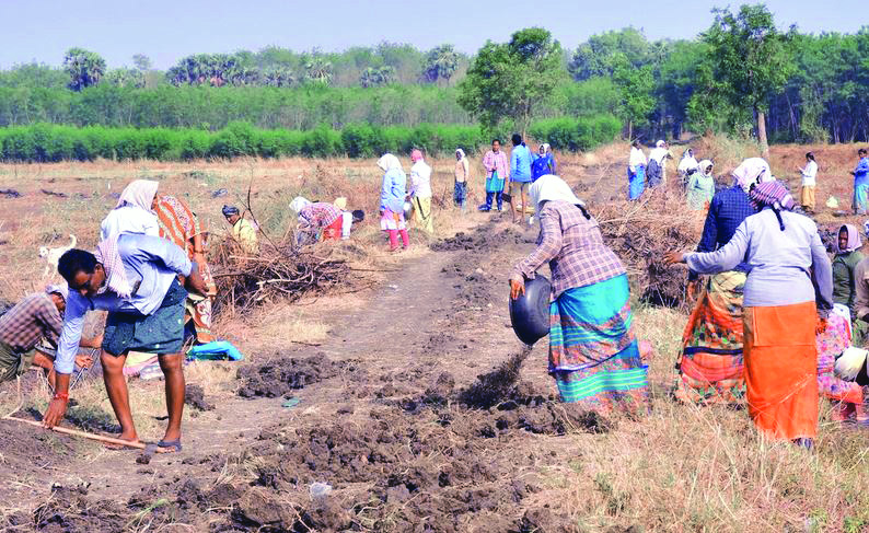 Over 35 lakh MGNREGS job cards deleted, 38 lakh added this fiscal: Centre