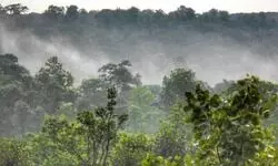 Strides, back and forth