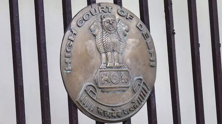 Not negligence if one dissatisfied with medical care: Delhi HC rejects mans plea over wifes death Not negligence if one dissatisfied with medical care: Delhi HC rejects mans plea over wifes death