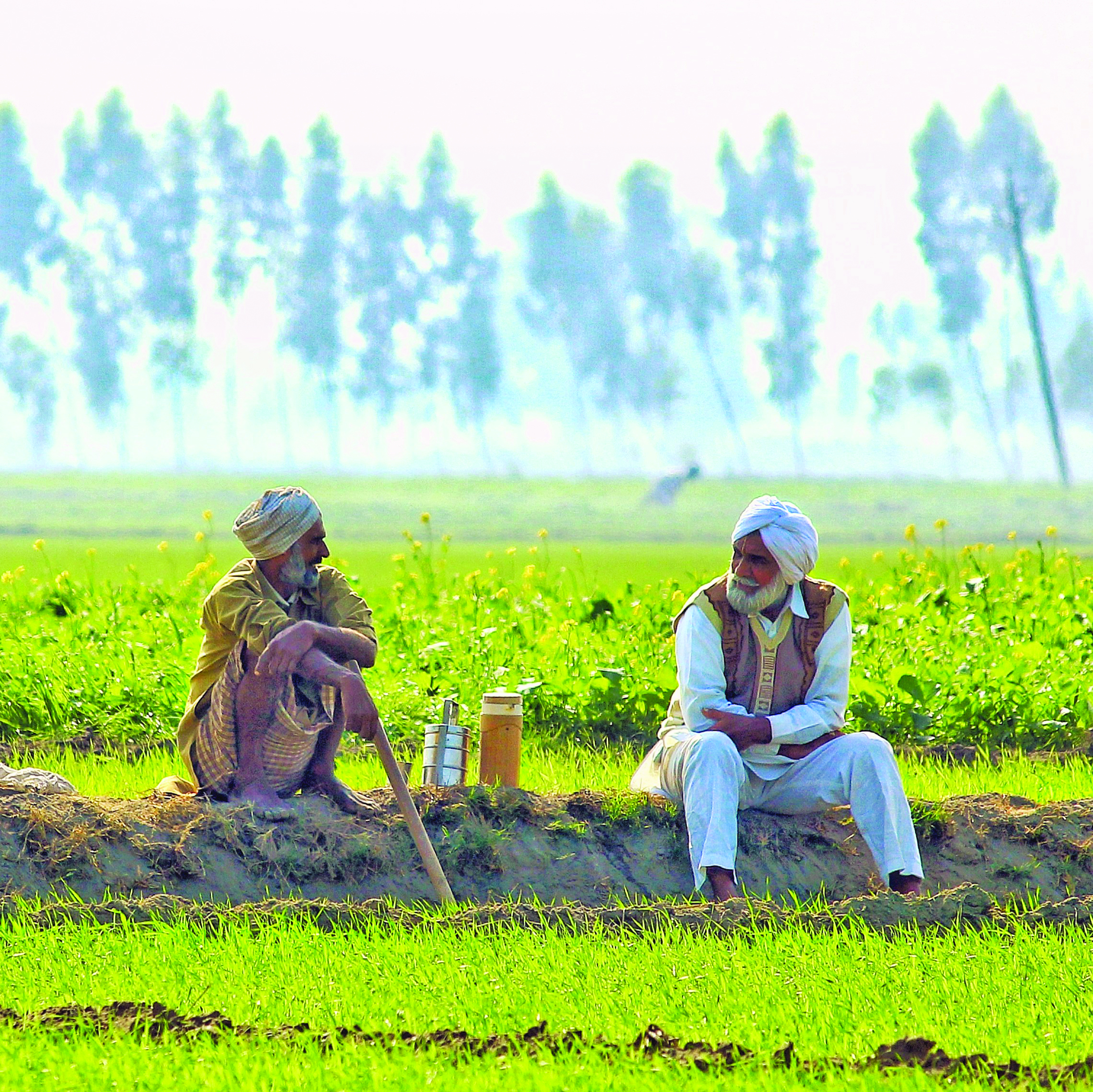 Govt extends one-time package of Rs 3,850 cr to subsidise DAP, 2 crop insurance schemes