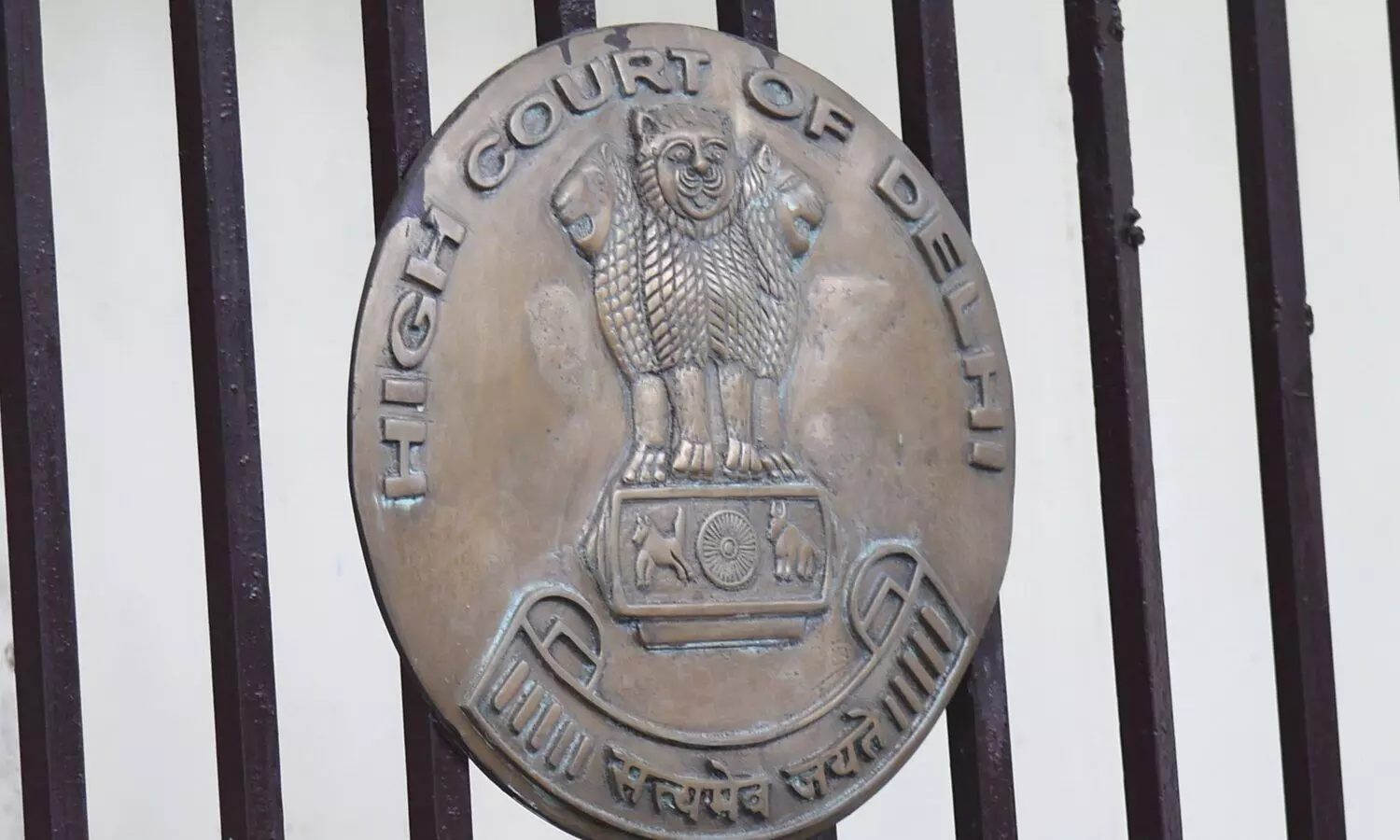 Police commissioner, AIIMS to ensure childs identity kept secret in POCSO cases: Delhi HC