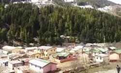 Legend Of Fredrick Wison The Pahadi King