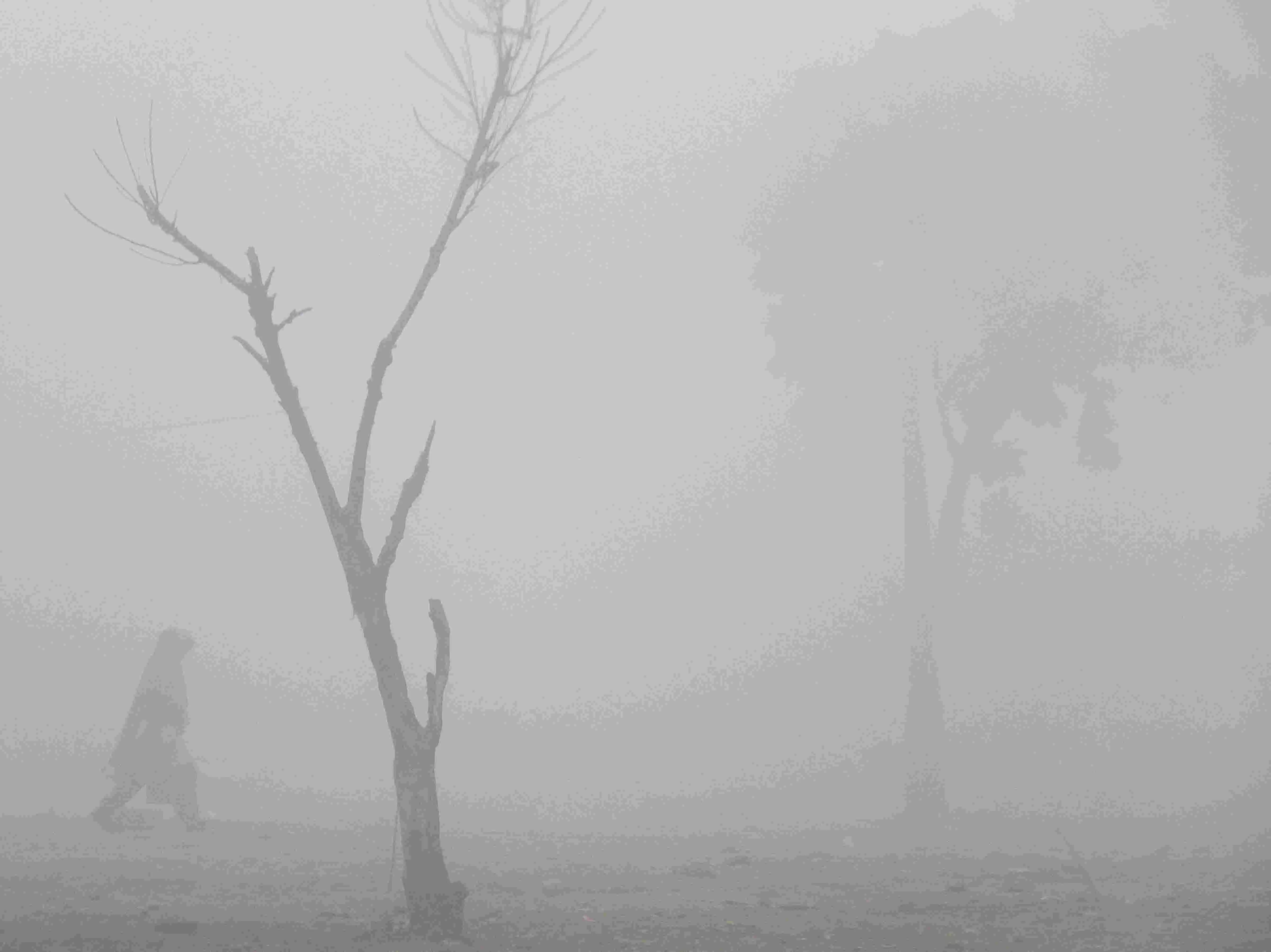 Visibility drops to zero due to dense fog in many parts of Delhi, minimum temperature at 7 deg C Visibility drops to zero due to dense fog in many parts of Delhi, minimum temperature at 7 deg C