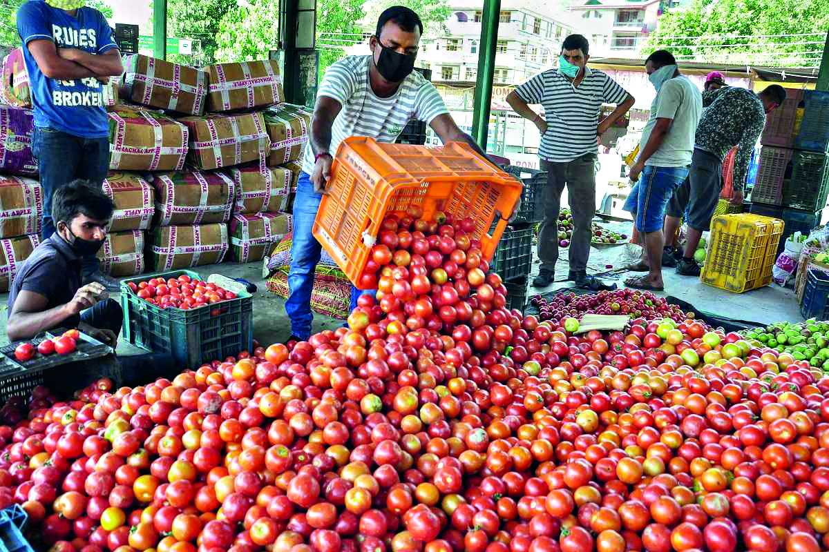 ‘Home-cooked meals get costlier in Dec on rising tomato & potato prices’ ‘Home-cooked meals get costlier in Dec on rising tomato & potato prices’