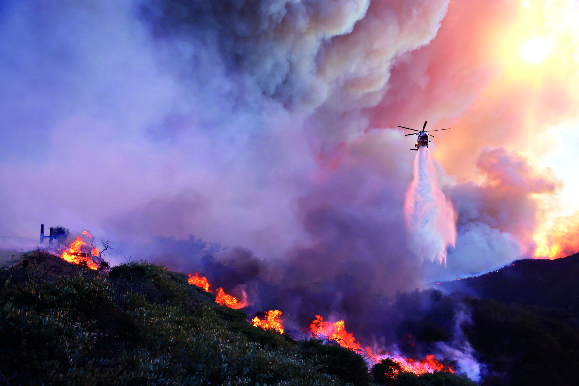 Scores evacuated as LA gets ravaged by wildfires