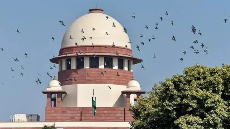Next CEC to be appointed per new law, not convention; but SC to take view on new statute Next CEC to be appointed per new law, not convention; but SC to take view on new statute