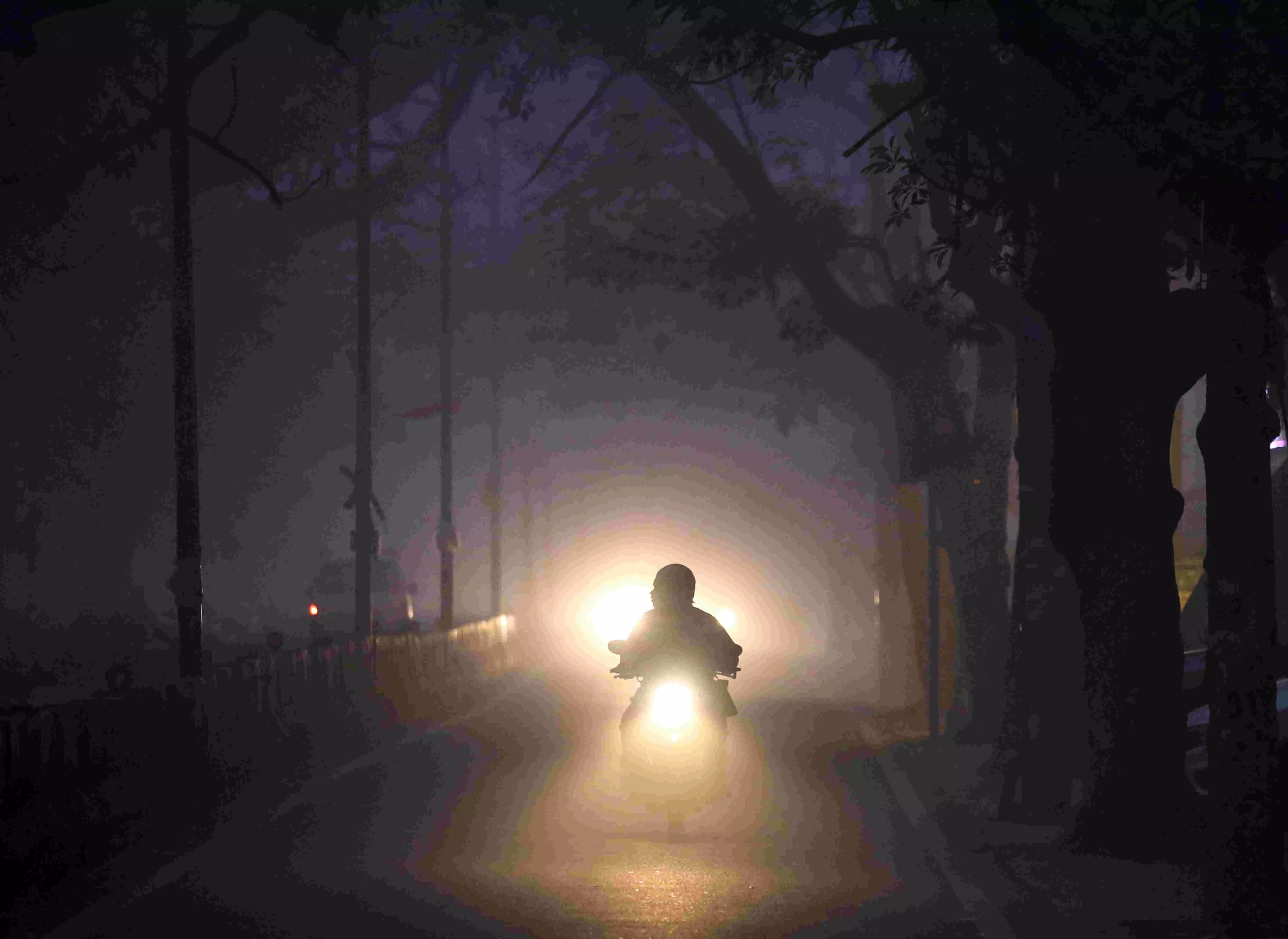 Delhi shivers in cold wave, dense fog disrupts flight and train operations Delhi shivers in cold wave, dense fog disrupts flight and train operations