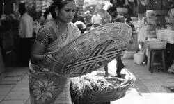 Bridging the divide Bridging the divide