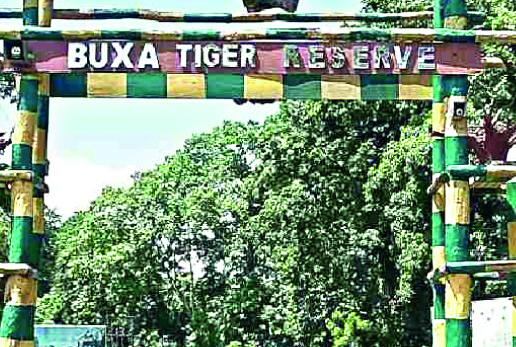 Efforts on to locate, treat injured elephant at Buxa Tiger Reserve