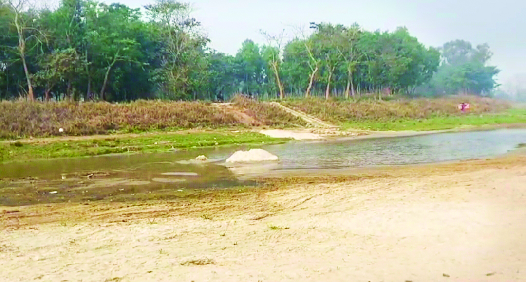 Embankment work initiated to save Balurghat’s Dangi Forest