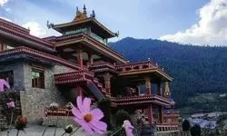 A snowy sojourn A snowy sojourn