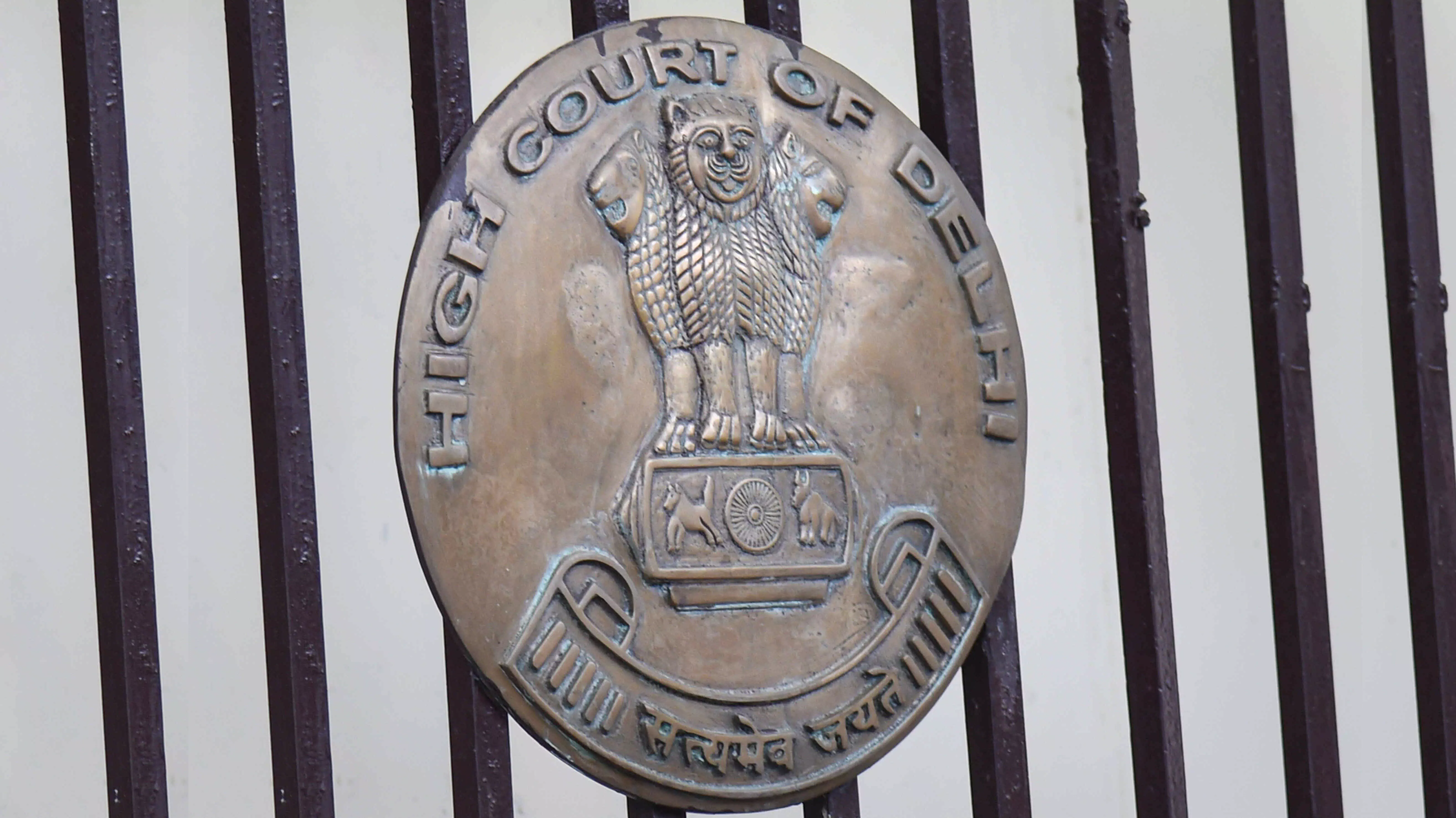 Take action against dummy schools: Delhi HC to govt, CBSE Take action against dummy schools: Delhi HC to govt, CBSE