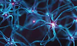 Three die of suspected GBS in Bengal in four days Three die of suspected GBS in Bengal in four days