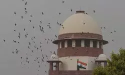 Nobody is above the law in this country: SC in matrimonial case