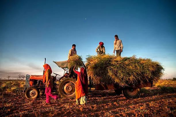 In major farm push, FM unveils six new schemes, raises KCC limit to Rs 5 Lakh