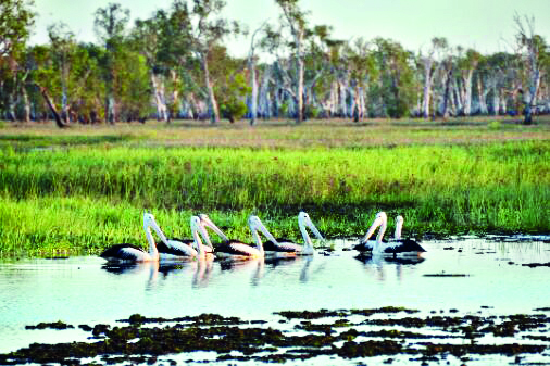 State Environment dept to soon come up with Nature Interpretation Centre