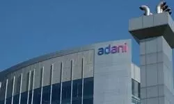 Bombay HC nod to Adani group to cut 209 mangroves for power line construction