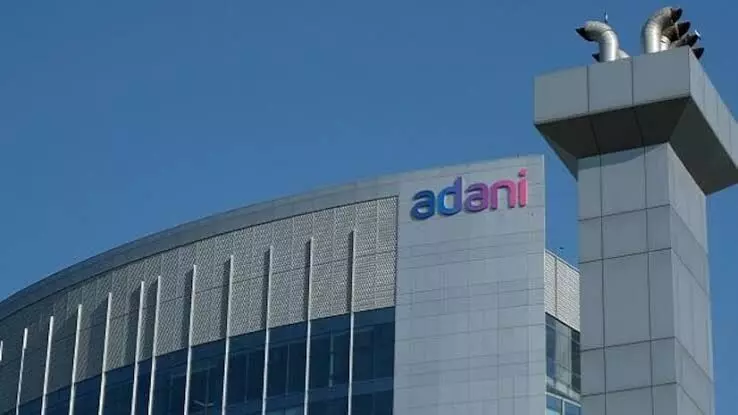 Bombay HC nod to Adani group to cut 209 mangroves for power line construction Bombay HC nod to Adani group to cut 209 mangroves for power line construction