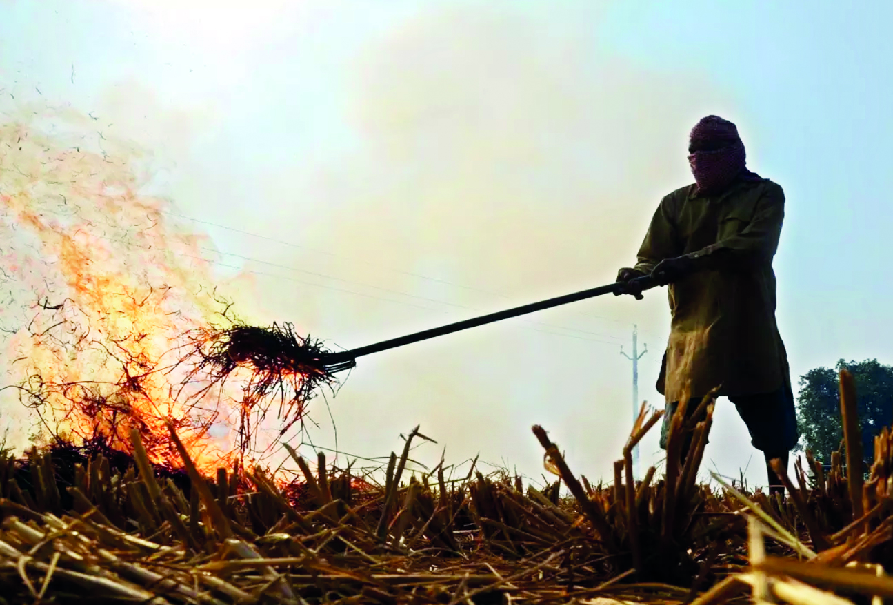 From Waste To Wealth