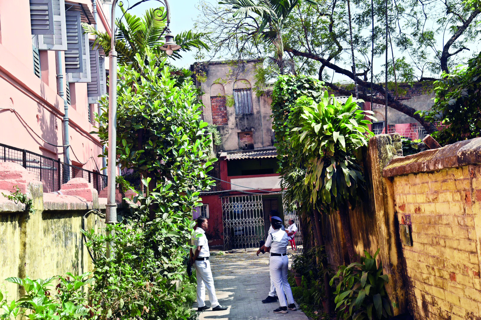 Elderly woman robbed in Burtolla Elderly woman robbed in Burtolla